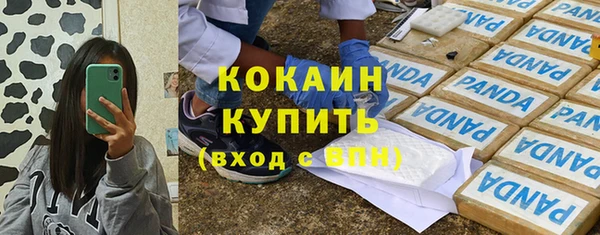 твердый Абаза