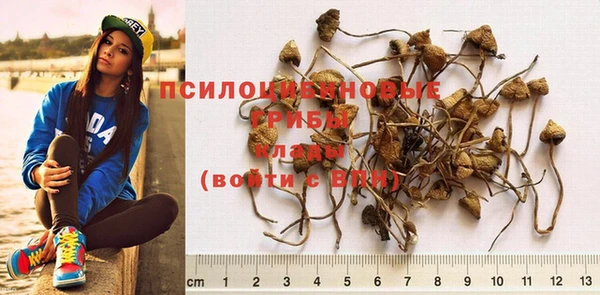 спиды Абинск