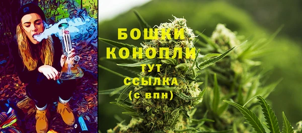 твердый Абаза