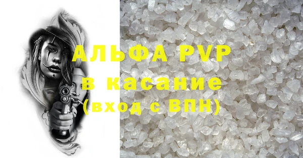 стаф Алзамай