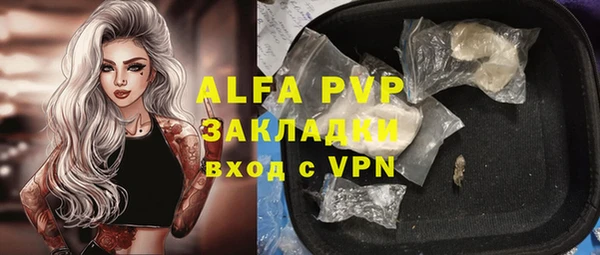 твердый Абаза