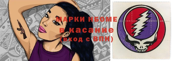 стаф Алзамай